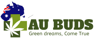 AU BUDS